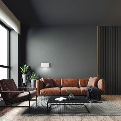 Світлодіодний настінний світильник CARLI 2xLED/10W/230V