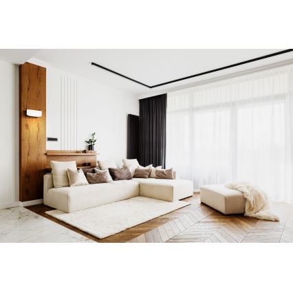 Світлодіодний настінний світильник LANDER LED10W/230V