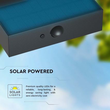Світлодіодний настінний світильник з датчиком на сонячній батареї LED/3W/3,7V 3000K/4000K IP65 1200 mAh чорний