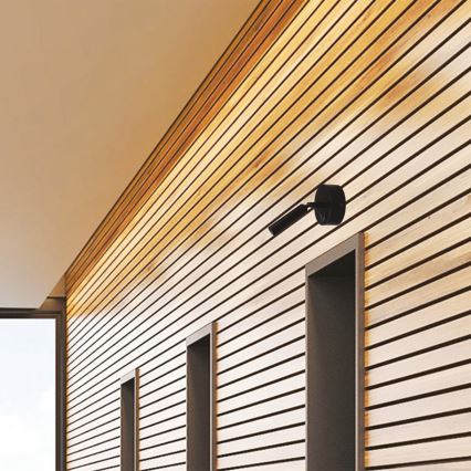 Світлодіодний настінний точковий світильник ARISTON LED/3W/230V 3000K чорний