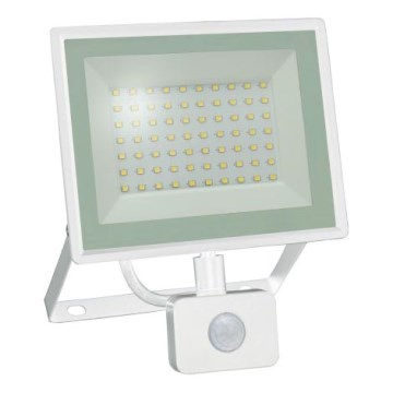 Світлодіодний прожектор із датчиком руху NOCTIS LUX 3 LED/50W/230V 4000K IP44 білий