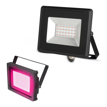 Світлодіодний прожектор LED/20W/230V IP65 рожевий світло
