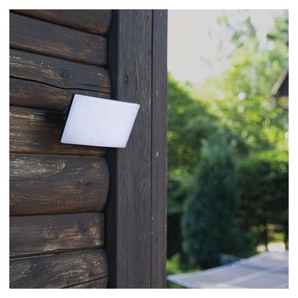 Світлодіодний прожектор TAMBO LED/10W/230V 4000K IP65