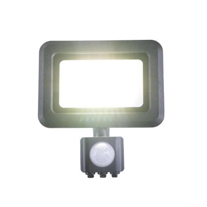 Світлодіодний прожектор з датчиком LED/20W/230V 4000K IP44