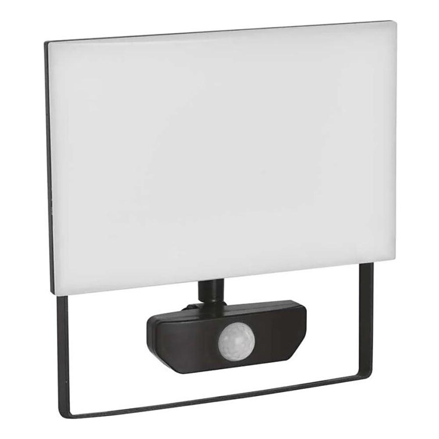 Світлодіодний прожектор з датчиком TAMBO LED/50W/230V 4000K IP54