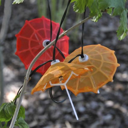 Світлодіодний сонячний ланцюг 10xLED/1,2В 300 мАг 3,8 м IP44 парасолі