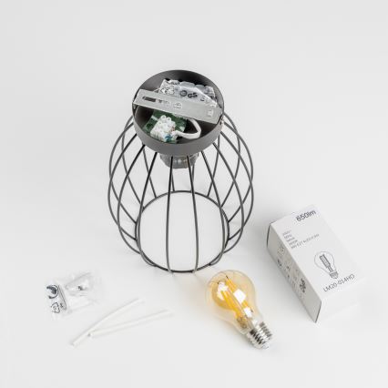 Світлодіодний стельовий світильник 1xE27/6,5W/230V чорний