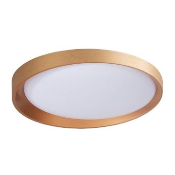 Світлодіодний стельовий світильник ADEL LED/40W/230V
