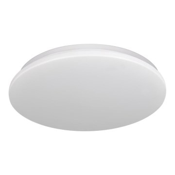 Світлодіодний стельовий світильник для ванної кімнати ADAR LED/12W/230V IP44 4000K