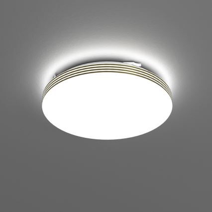Світлодіодний стельовий світильник для ванної кімнати BEVER LED/10W/230V 4000K діаметр 26 см IP44