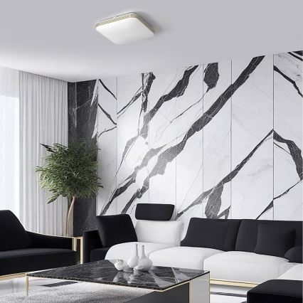 Світлодіодний стельовий світильник для ванної кімнати DABAR LED/17W/230V 4000K 33x33 см IP44
