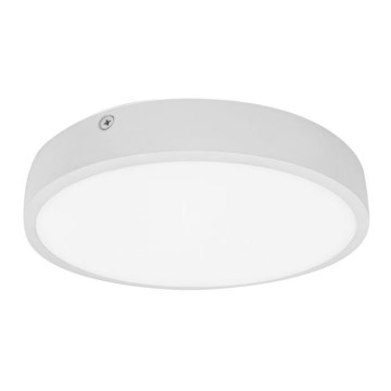 Світлодіодний стельовий світильник для ванної кімнати EGON LED/30W/230V IP44 3000K