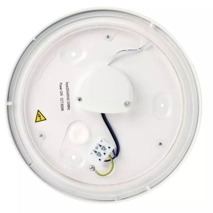 Світлодіодний стельовий світильник для ванної кімнати LED/12W/230V IP44