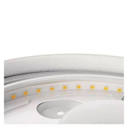 Світлодіодний стельовий світильник для ванної кімнати LED/12W/230V IP44