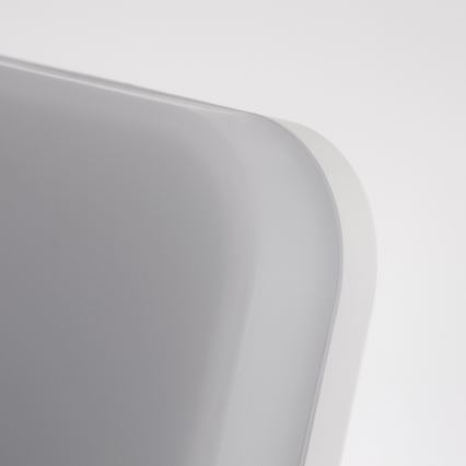 Світлодіодний стельовий світильник для ванної кімнати LED/24W/230V IP54