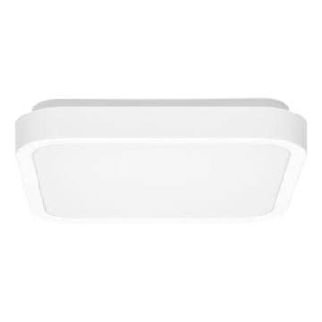 Світлодіодний стельовий світильник для ванної кімнати LUKY LED/12W/230V 4000K 25x25 см IP44 білий