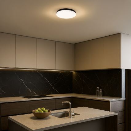 Світлодіодний стельовий світильник для ванної кімнати MAYA LED/15W/230V діаметр 33 cm IP44 чорний