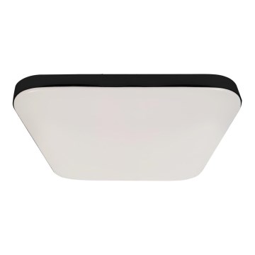 Світлодіодний стельовий світильник для ванної кімнати NEMO LED/17W/230V IP44 чорний