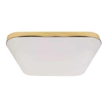 Світлодіодний стельовий світильник для ванної кімнати NEMO LED/17W/230V IP44 золотий