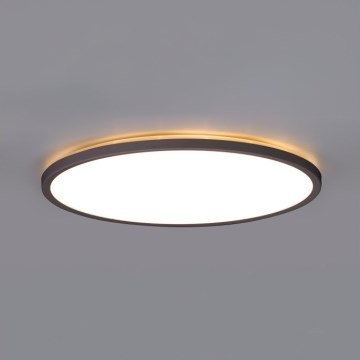 Світлодіодний стельовий світильник для ванної кімнати NIVERA LED/12W/230V IP54 3000/4000/6000K діаметр 22,5 см чорний