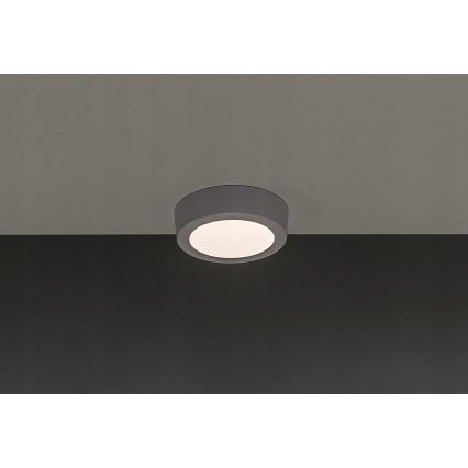 Світлодіодний стельовий світильник GERRIT LED/6W/230V 3000K
