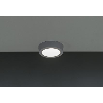 Світлодіодний стельовий світильник GERRIT LED/6W/230V 4000K