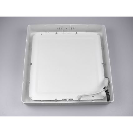Світлодіодний стельовий світильник GERRY LED/24W/230V 6000K