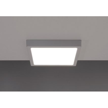 Світлодіодний стельовий світильник GERRY LED/6W/230V 4000K