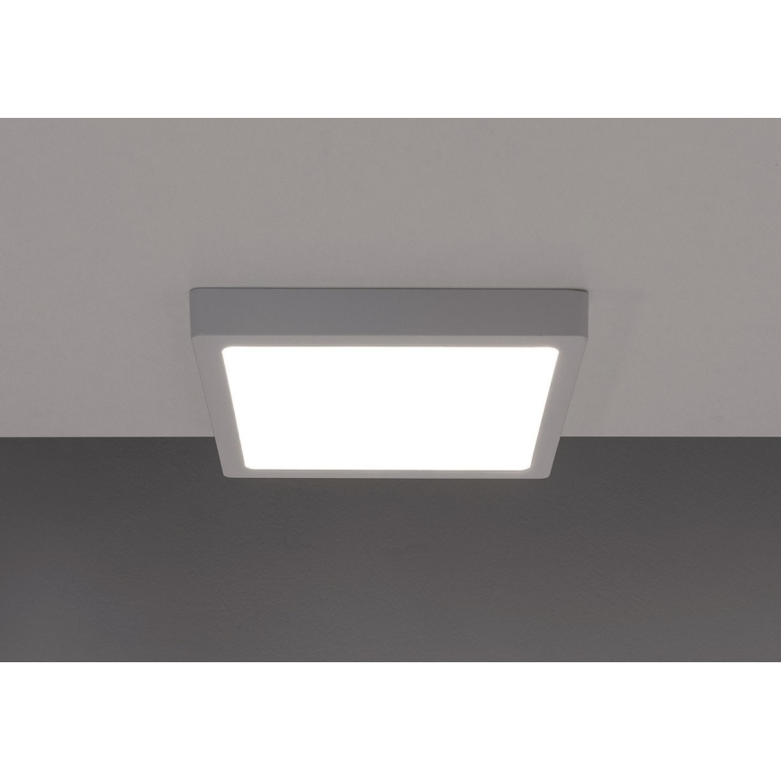 Світлодіодний стельовий світильник GERRY LED/6W/230V 4000K
