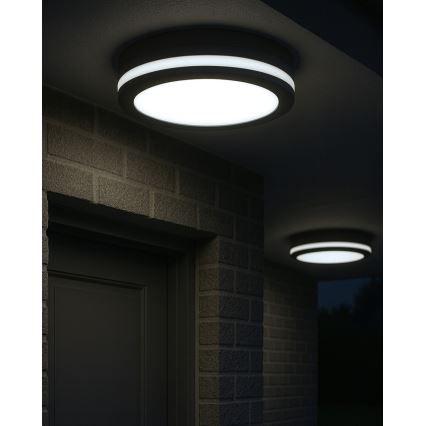 Стельовий LED-світильник для ванної кімнати з датчиком руху, 20 Вт, 230 В, вибір колірної температури 3000/4000/6500K, діаметр 23 см, IP54, антрацит