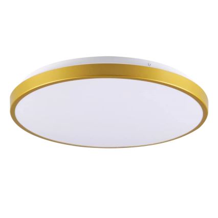 Світлодіодний стельовий світильник KERN LED/15W/230V діаметр 29 cm