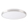 Світлодіодний стельовий світильник KERN LED/24W/230V нікель