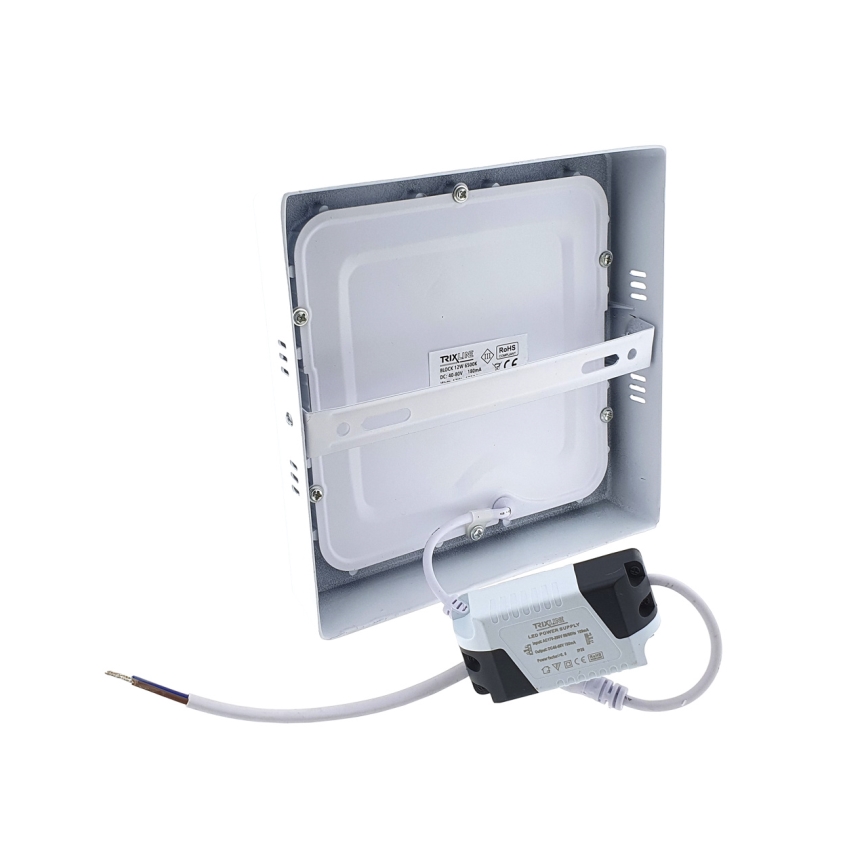 Світлодіодний стельовий світильник LED/12W/230V 6500K
