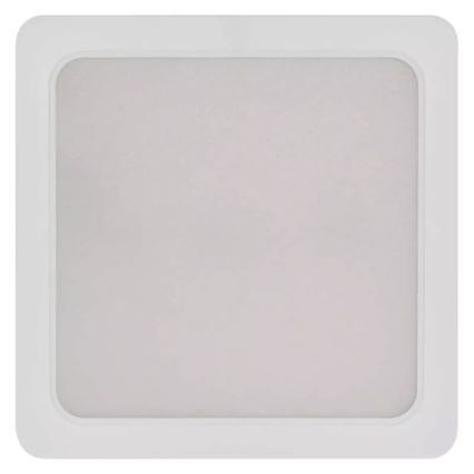 Світлодіодний стельовий світильник LED/24W/230V 22x22 см білий