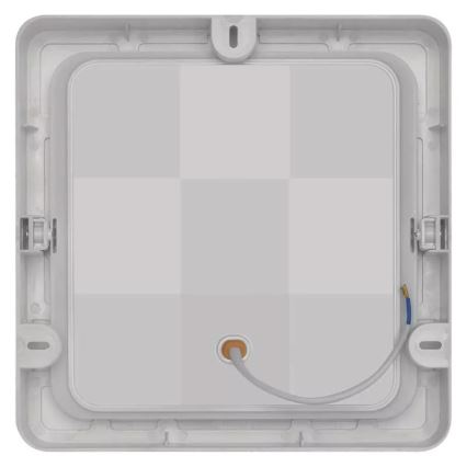 Світлодіодний стельовий світильник LED/24W/230V 22x22 см білий