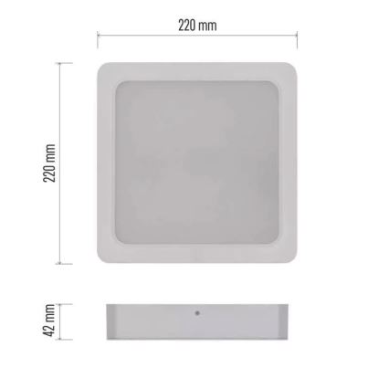Світлодіодний стельовий світильник LED/24W/230V 22x22 см білий