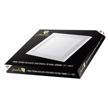 Світлодіодний стельовий світильник LED/24W/230V 4000K
