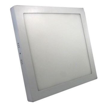 Світлодіодний стельовий світильник LED/24W/230V 6000K