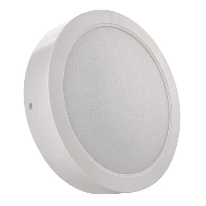Світлодіодний стельовий світильник LED/24W/230V діаметр 22 см білий
