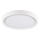 Світлодіодний стельовий світильник PERSE LED/15W/230V біла