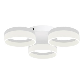 Світлодіодний стельовий світильник RING 3xLED/12W/230V білий