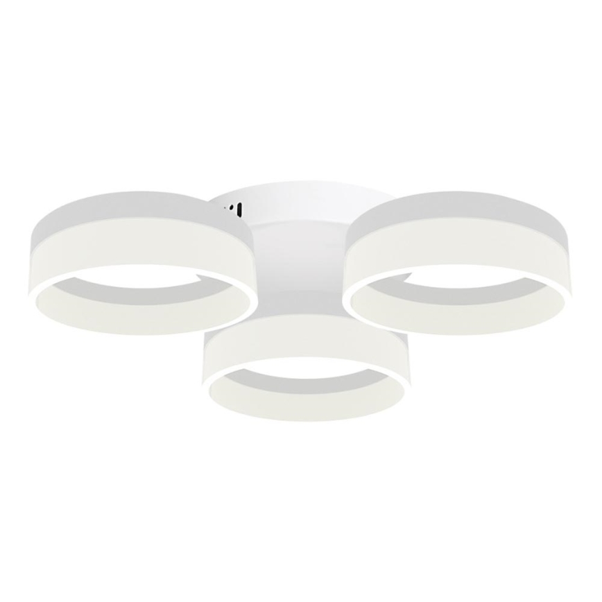 Світлодіодний стельовий світильник RING 3xLED/12W/230V білий