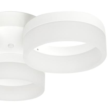 Світлодіодний стельовий світильник RING 3xLED/12W/230V білий