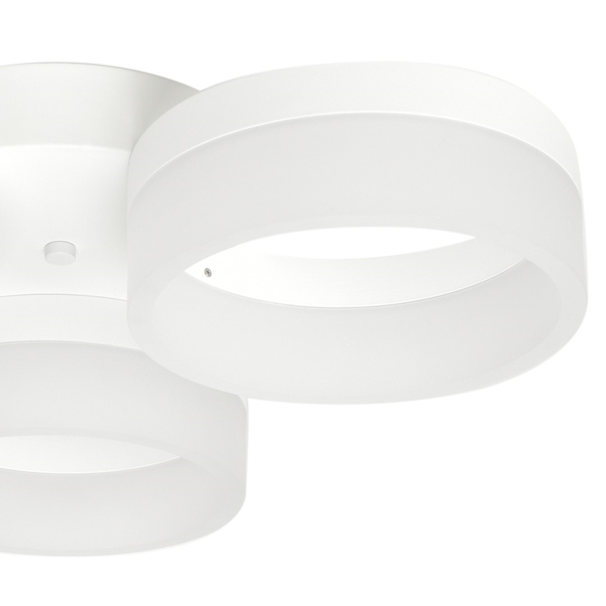 Світлодіодний стельовий світильник RING 3xLED/12W/230V білий