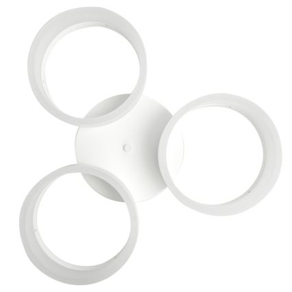 Світлодіодний стельовий світильник RING 3xLED/12W/230V білий