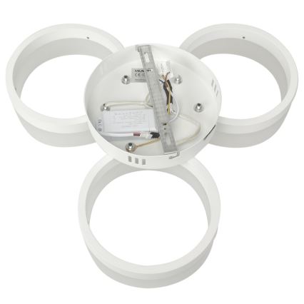 Світлодіодний стельовий світильник RING 3xLED/12W/230V білий