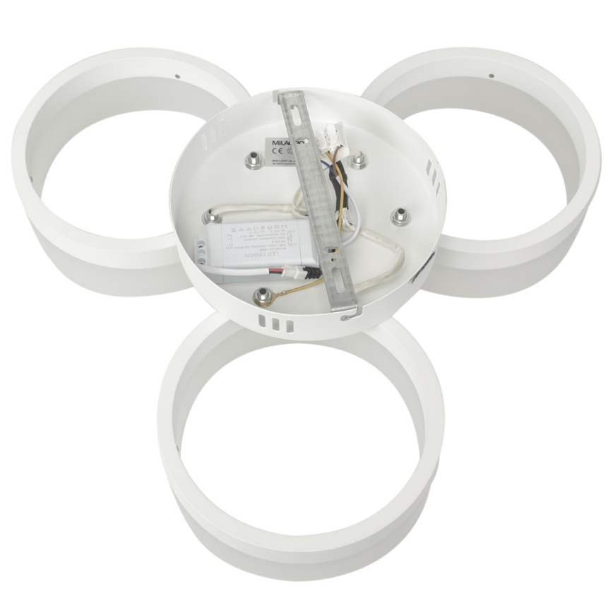 Світлодіодний стельовий світильник RING 3xLED/12W/230V білий