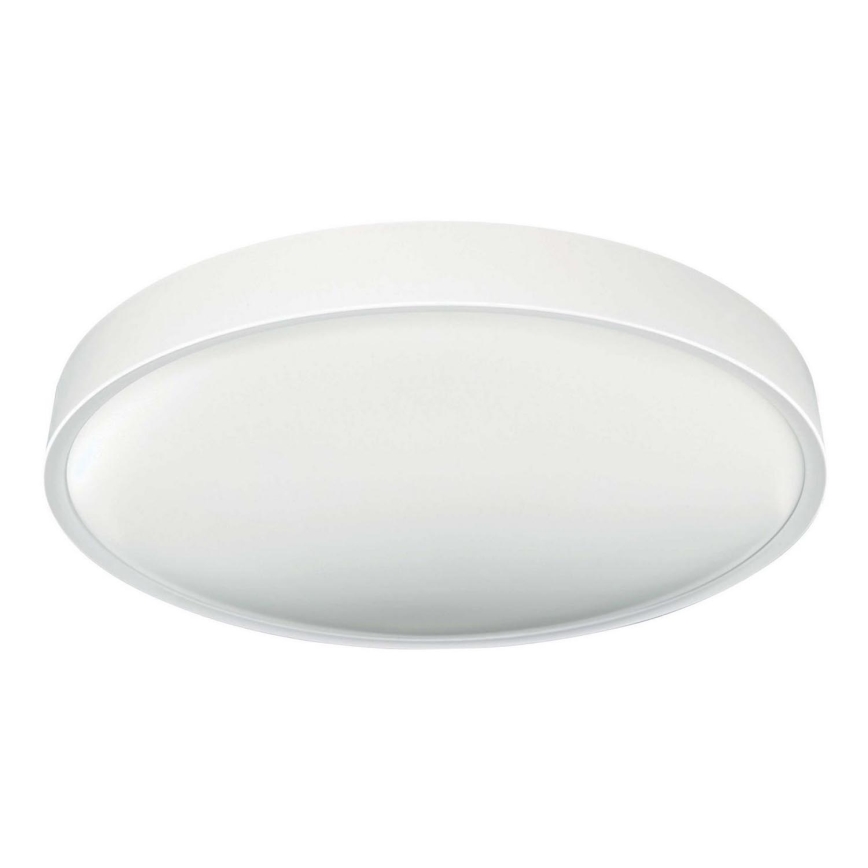 Світлодіодний стельовий світильник SAMER LED/24W/230V 4000K