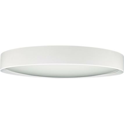 Світлодіодний стельовий світильник SAMER LED/24W/230V 4000K