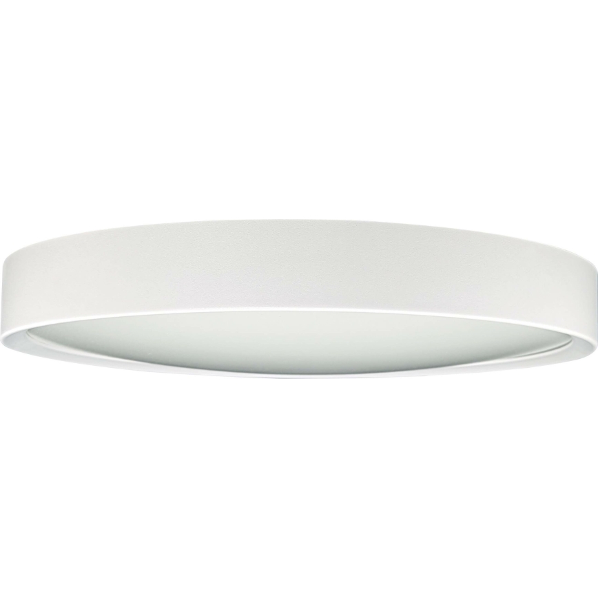 Світлодіодний стельовий світильник SAMER LED/24W/230V 4000K